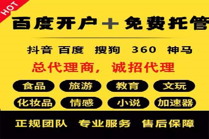 百度竞价推广案例：品牌崛起之路